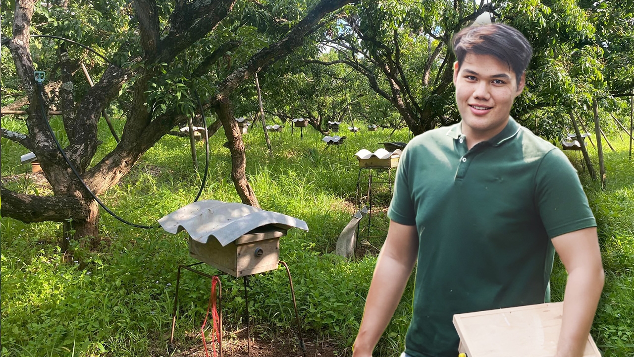 คุยกับคนเลี้ยงผึ้งจิ๋ว “ชันโรง” ต้นทุนน้อย รายได้เดือนละแสน!