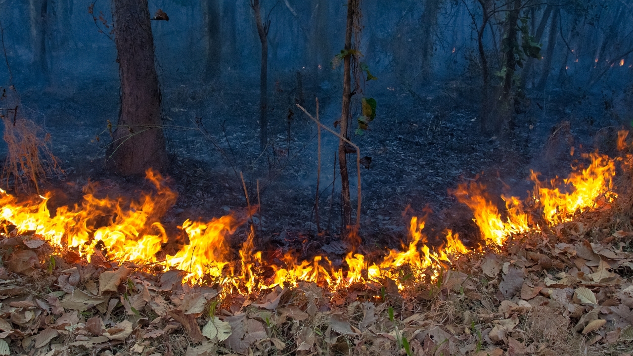 GISTDA คาดการณ์พื้นที่ 10 จังหวัดเสี่ยงสูงเกิดไฟป่าช่วง 19-25 ก.พ. 67 