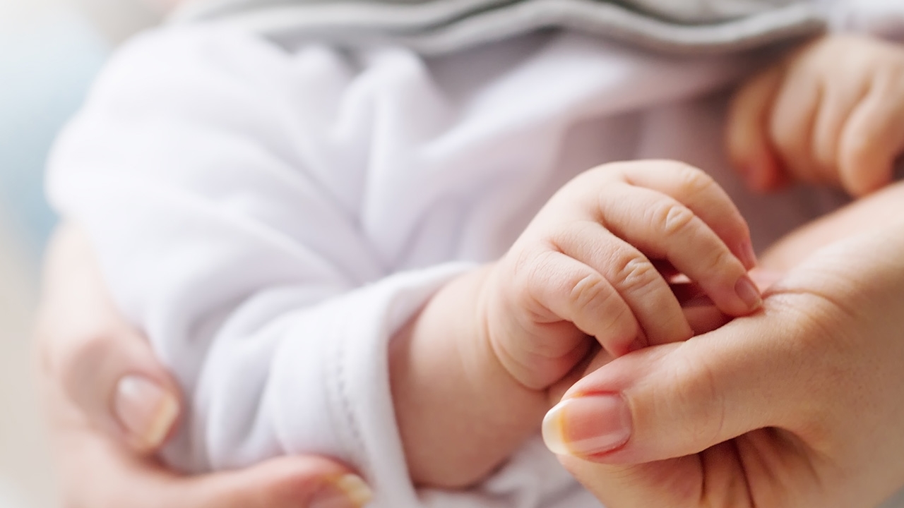 รอรับมังกรน้อย