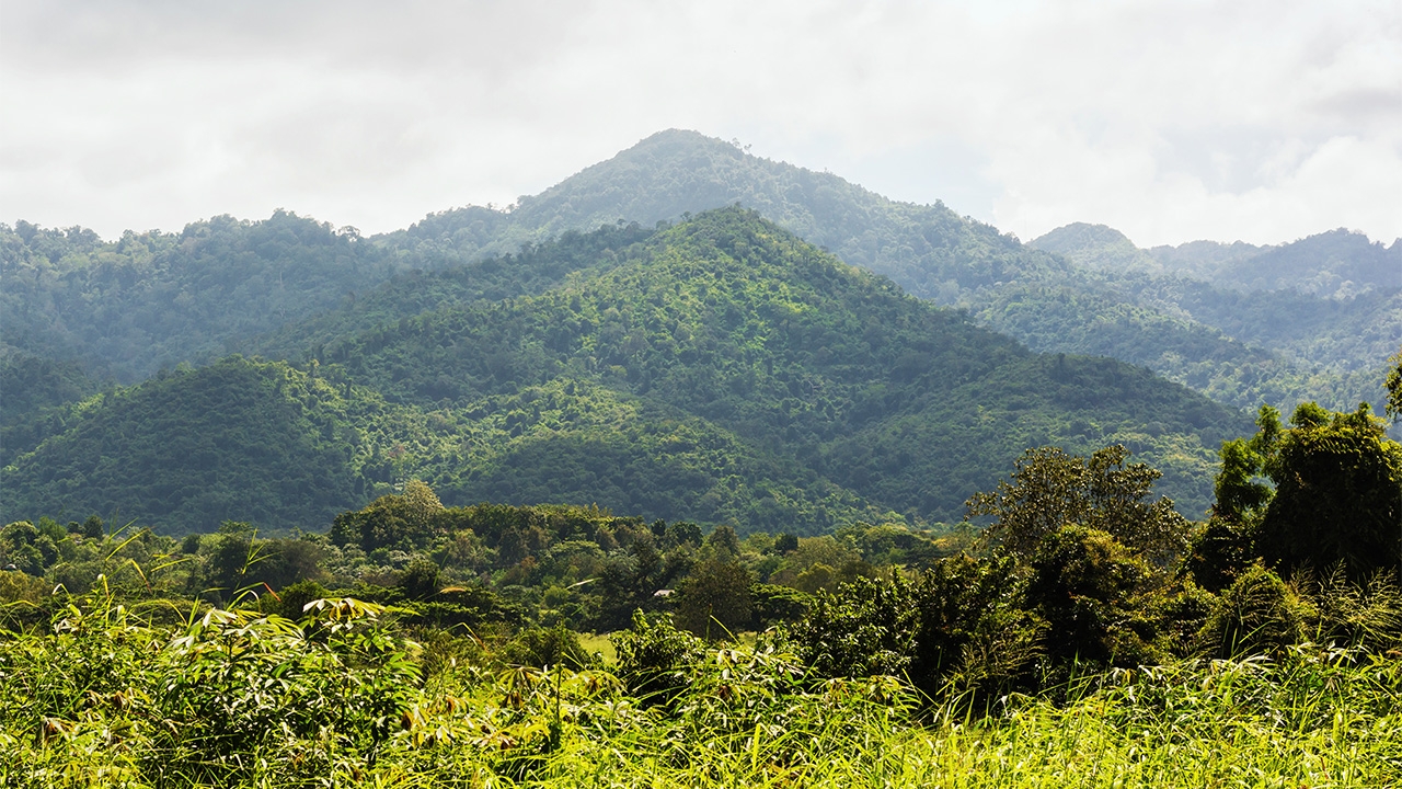 สมควรต้องโวย