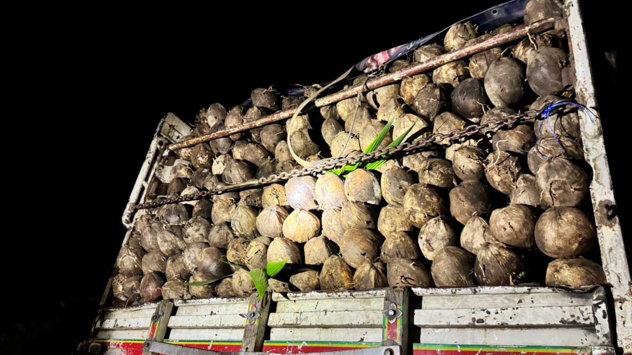 ฉก.พญานาคราช สกัดจับพันธุ์มะพร้าว ลักลอบส่งออกเขมร 2 หมื่นลูกที่สระแก้ว