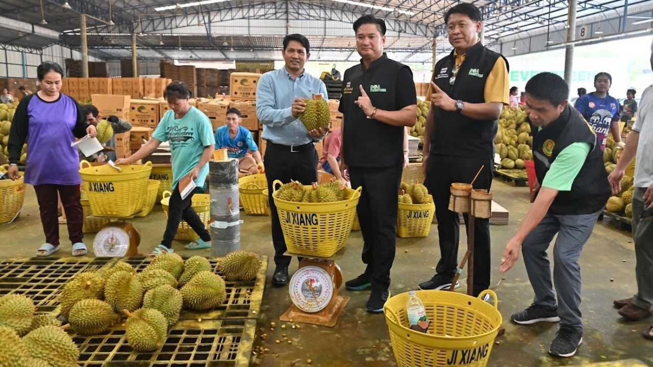 กรมวิชาการเกษตร คุมเข้มคุณภาพทุเรียนส่งออกจีน จัดชุดปฏิบัติการอำนวยความสะดวก