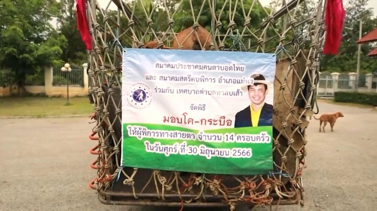 สมาคมประชาคมคนตาบอด จัดกิจกรรมไถ่ชีวิตโค-กระบือ