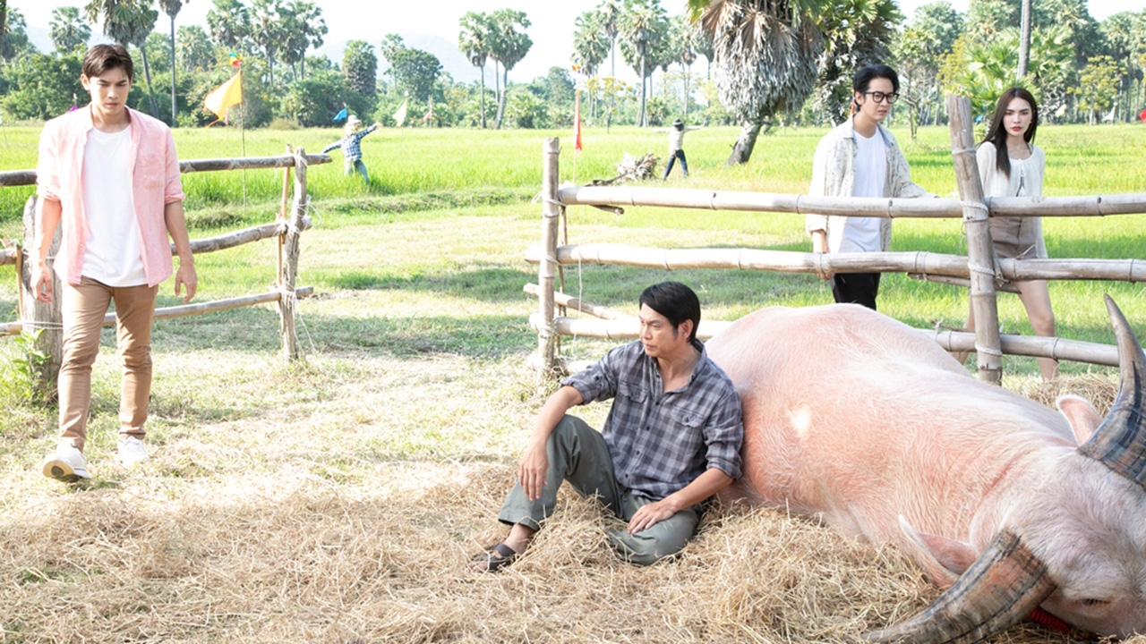 พี่คล้าว "มิว" เศร้าหนัก สูญเสียของรัก "ชาล็อต" คอยปลอบใจ ใน "มนต์รักลูกทุ่ง ๒๕๖๗"