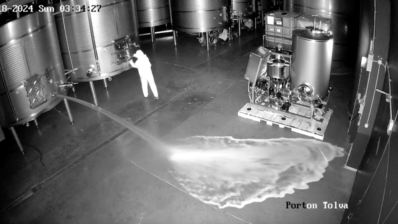 เร่งหาตัวผู้บุกรุก บุกโรงกลั่นไวน์สเปน แอบปล่อยไวน์ทิ้งมูลค่ามหาศาล