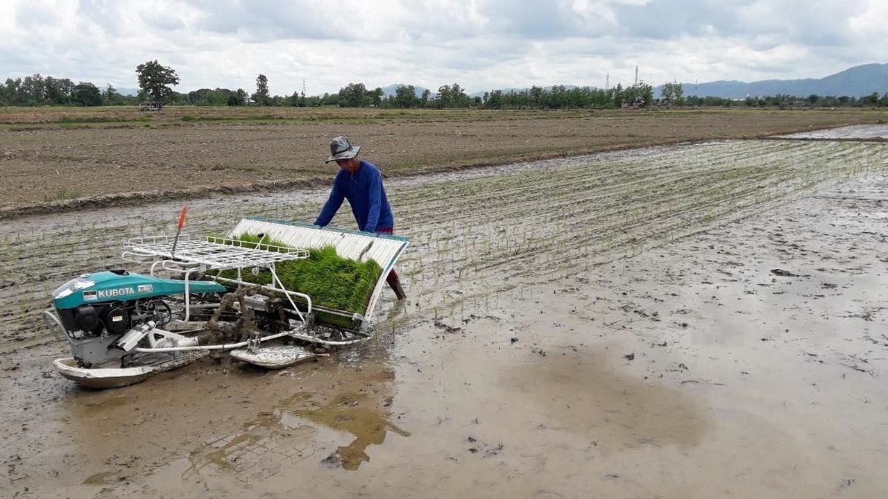 กรมชลประทานวอนงดทำนาปรัง 2 รอบ