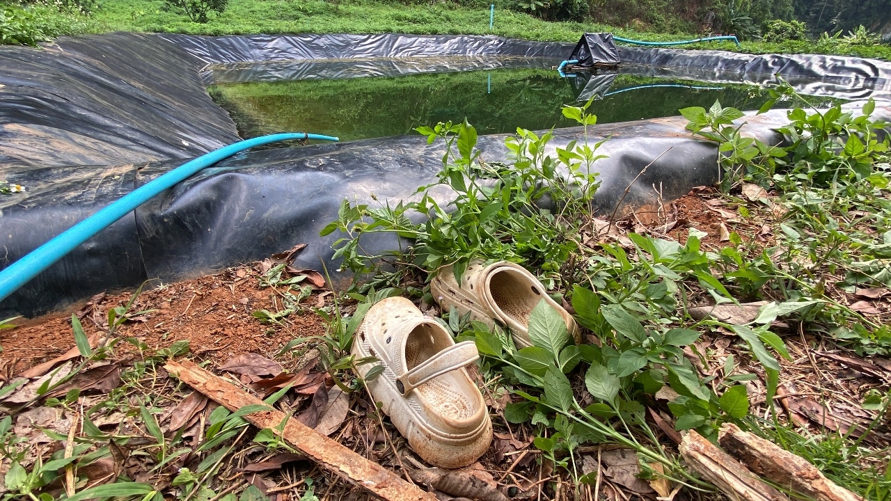 3 ศพ จมสระลึก 5 ม.กลางสวนยางพารา ที่กระบี่ ตายยกครัว "พ่อ-แม่-ลูก"