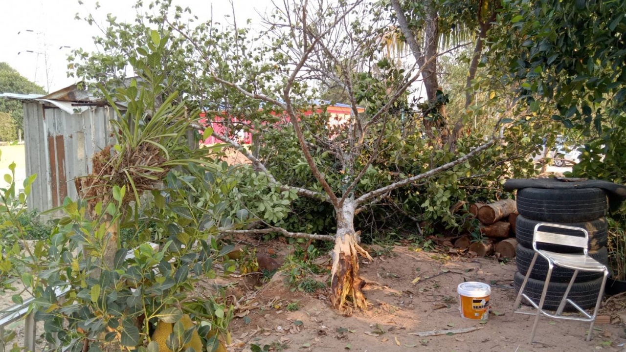 อ.เจษฎ์ ชี้ "ฟ้าผ่าทั้งที่ฝนไม่ตก" พบได้ยาก แต่อันตรายกว่าที่คิด