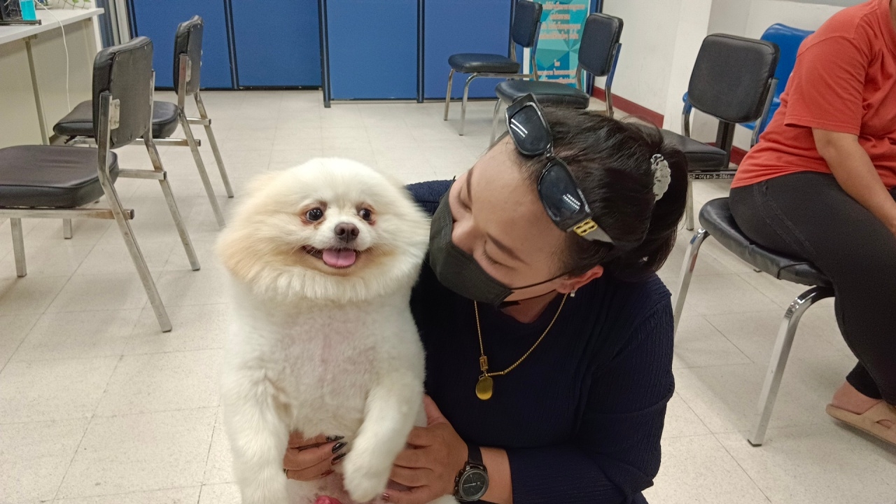 เจ้าของน้ำตาซึม ตามหาสุนัขที่หายไปกว่า 5 เดือน จนสุดท้ายได้กลับมาคืน