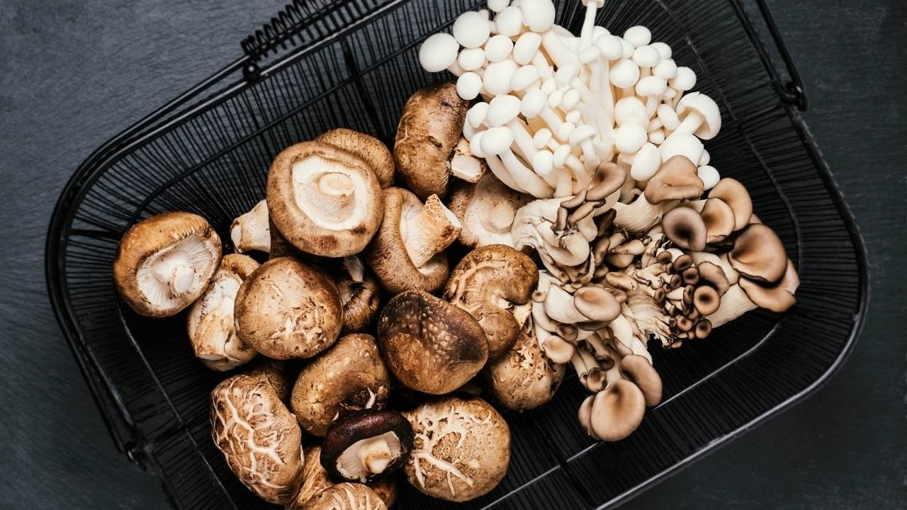 อ.เจษฎ์" โต้ปมงด "กินเห็ด" เพราะไม่ดีต่อสุขภาพ ย้ำกินได้ไม่ต้องกลัวมะเร็ง