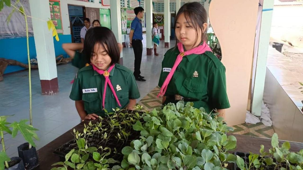 กลุ่มยุวเกษตรกรโรงเรียนบ้านเจน ปลูกผักไว้เป็นอาหารกลางวัน และขายสร้างรายได้ 