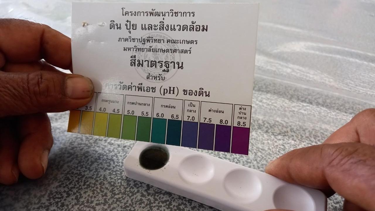 อธิบดีกรมส่งเสริมฯ ชวนเกษตรกรสร้างสมดุลให้ดิน ปุ๋ย และค่า pH เพื่อยกระดับผลผลิต