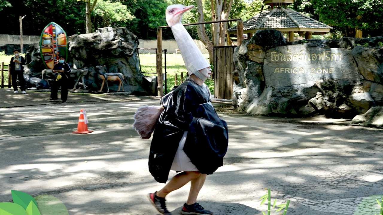 เป๊ะมาก เจ้าหน้าที่แต่งชุด "นกกระจอกเทศ" ซ้อมแผนสัตว์หลุด จนเป็นไวรัลสุดน่ารัก