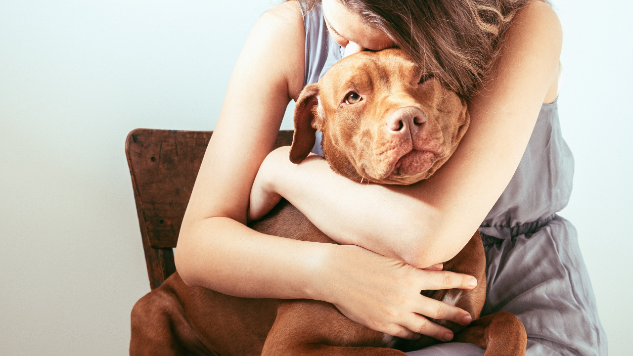 วันสุนัขโลก ผลวิจัยเผยว่าน้องหมาเป็นมากกว่าสัตว์เลี้ยง แต่ช่วยบำบัดเยียวยาจิตใจได้