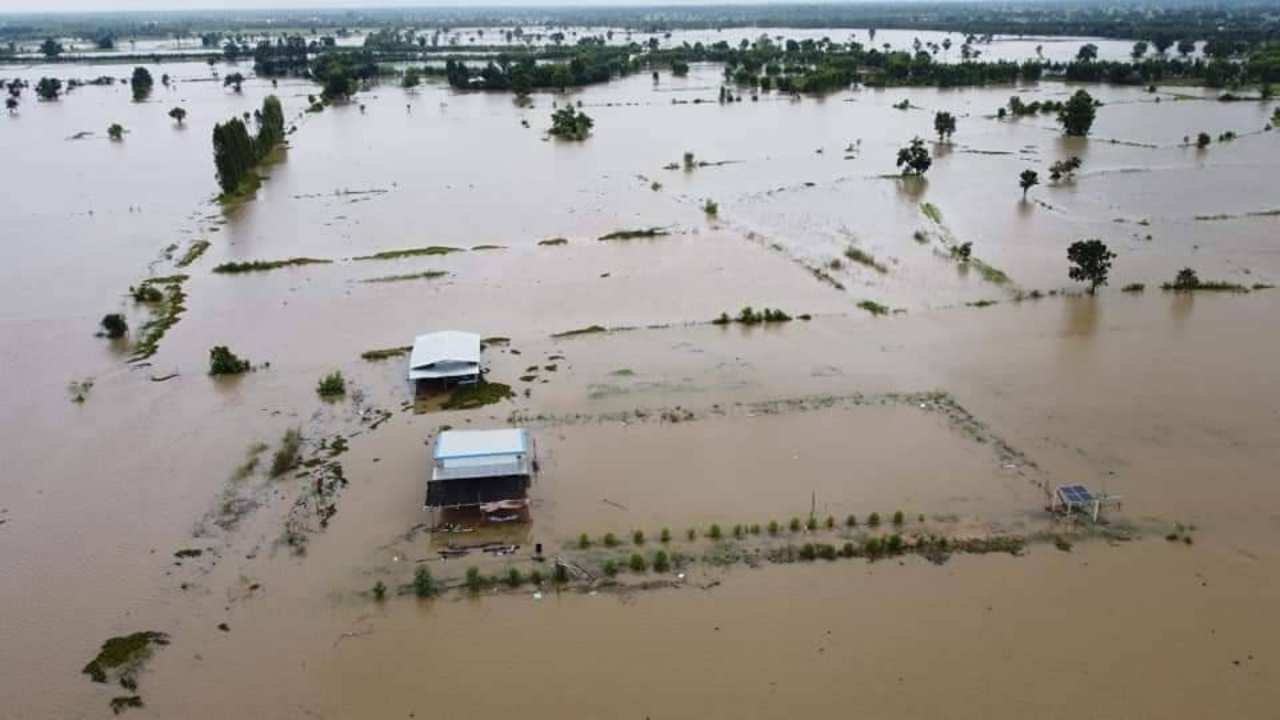 โคราชไม่รอดน้ำท่วมที่ประทาย หลัง 2 ลำน้ำเอ่อท่วม ไร่นาเสียหาย 500 ไร่