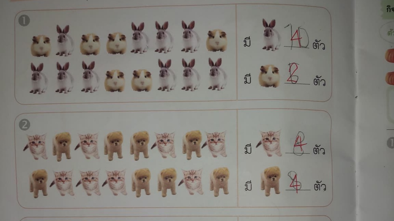 ถกกันสนั่น การบ้านเด็กอนุบาล 2 ให้นับรูปสัตว์มีกี่ตัว แต่ครูดันเฉลยว่าผิด