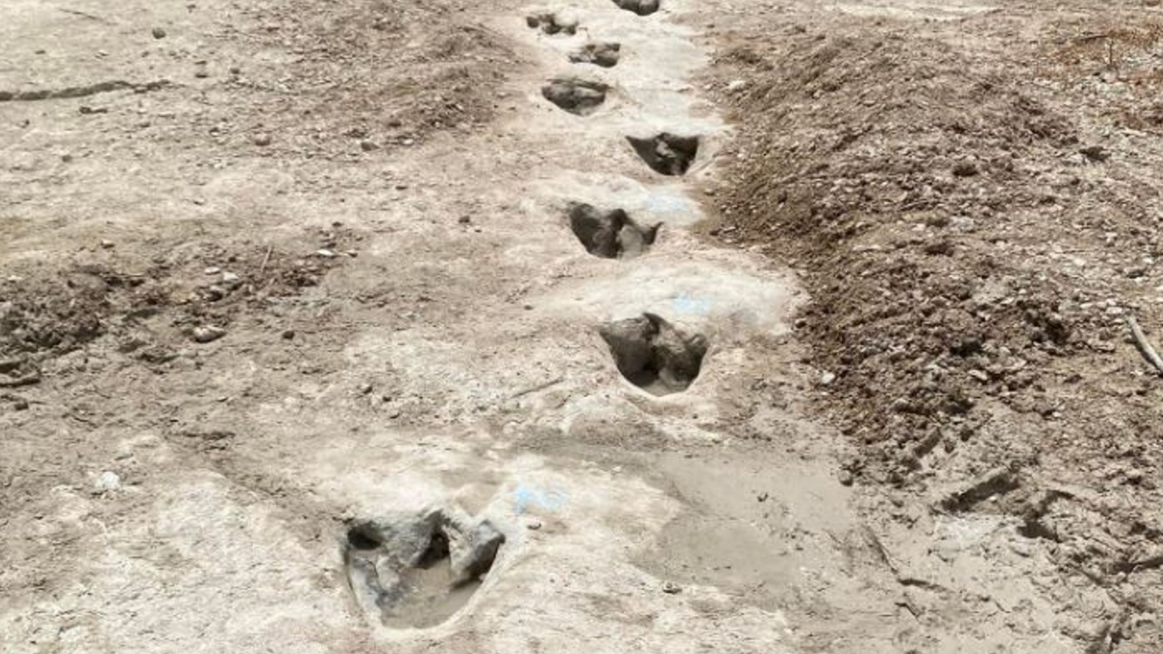 ภัยแล้งเทกซัสทำแม่น้ำแห้งจนเห็นรอยเท้าไดโนเสาร์อายุ 113 ล้านปี