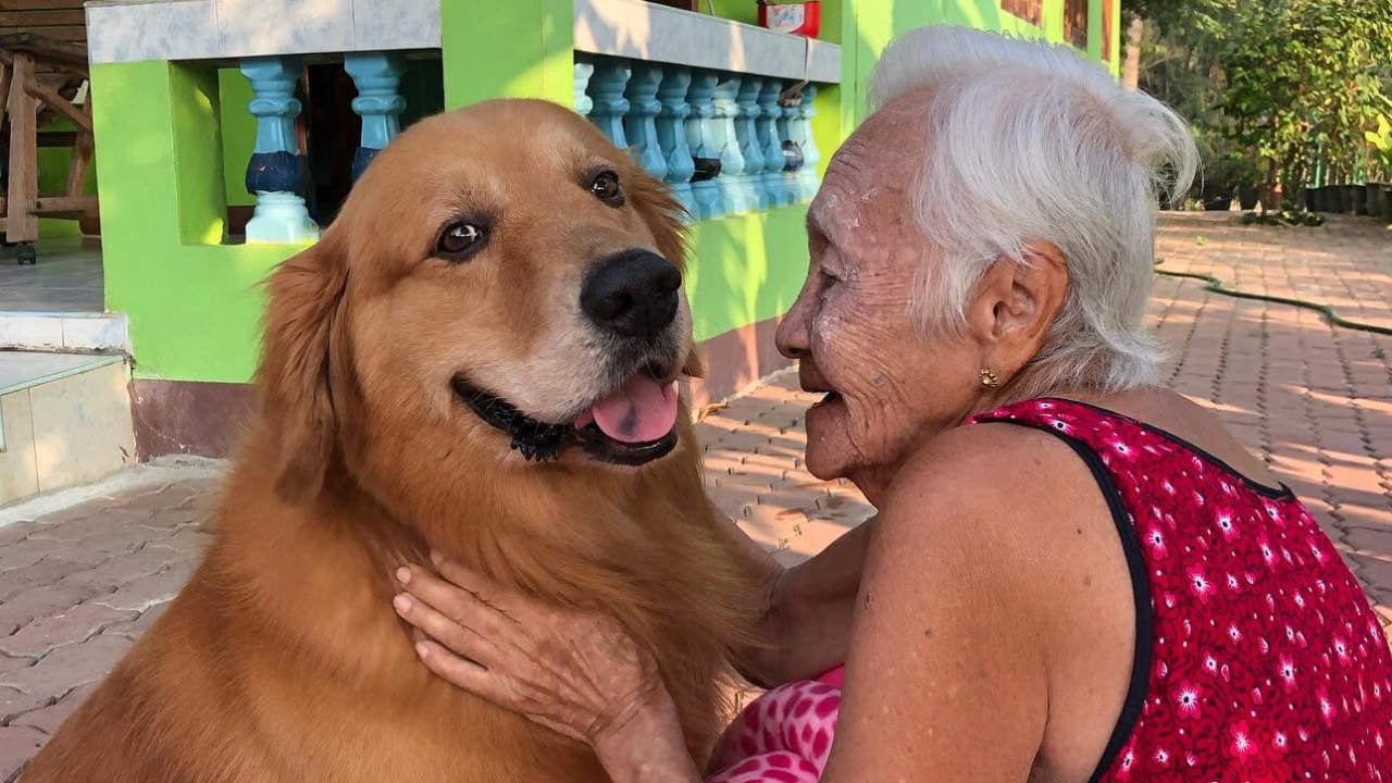 อัปเดตชีวิตคุณยาย หลังลีโอจากไป ต้องทำใจอย่างไรจากการสูญเสีย