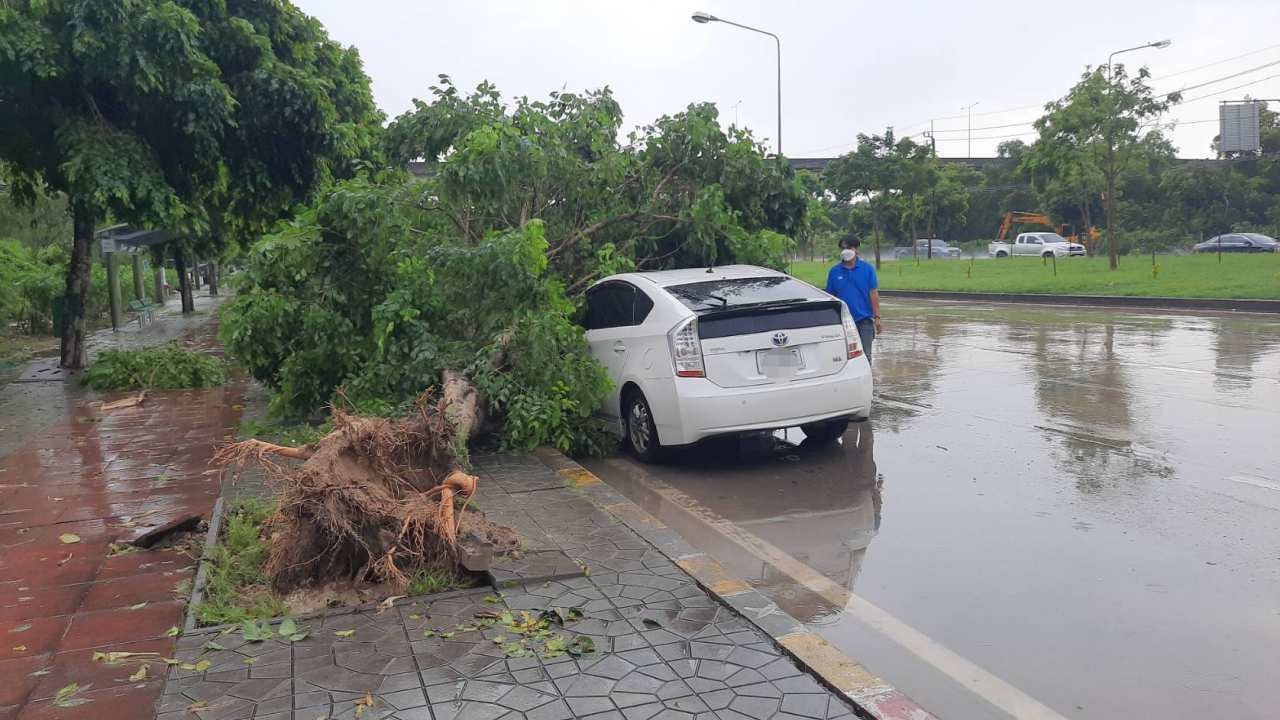 พายุถล่ม กทม. ทำต้นแคนาริมถนนเทพรักษ์ล้มครึ่งร้อย ทับรถ-บ้านเรือนเสียหาย
