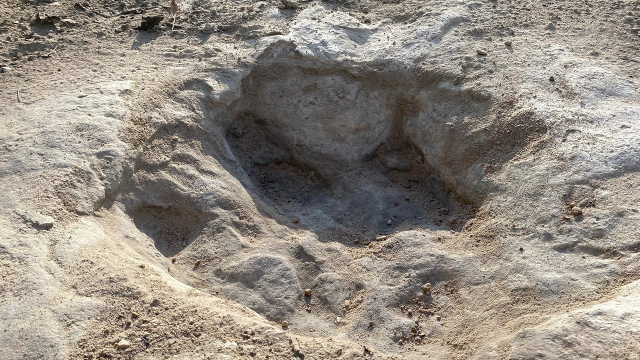 น้ำแห้งเผยเส้นทางรอยเท้าไดโนเสาร์ในเท็กซัส