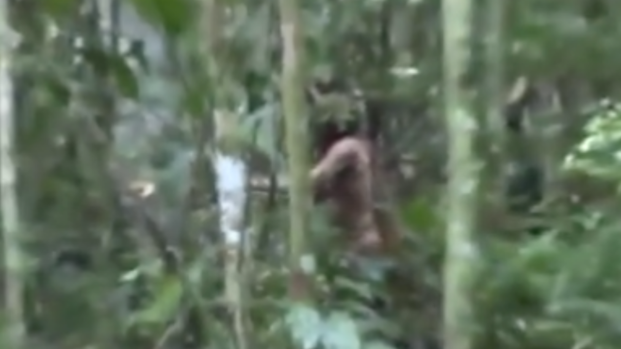 ปิดตำนาน ‘มนุษย์รู’ ชายชนเผ่าพื้นเมืองในบราซิล โดดเดี่ยวสุดในโลก ตายแล้ว (คลิป)