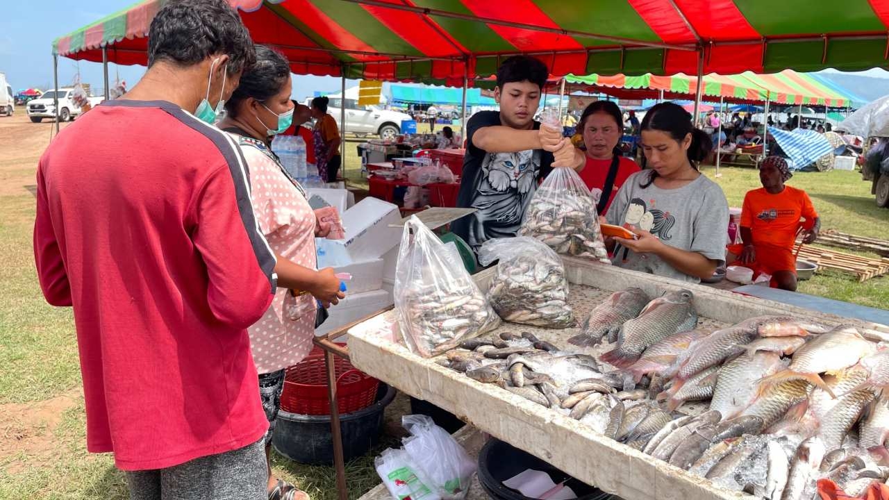 เริ่มแล้ว "เทศกาลกินปลาลำตะคอง" อ.ปากช่อง หวังกระตุ้นเศรษฐกิจอาชีพประมง