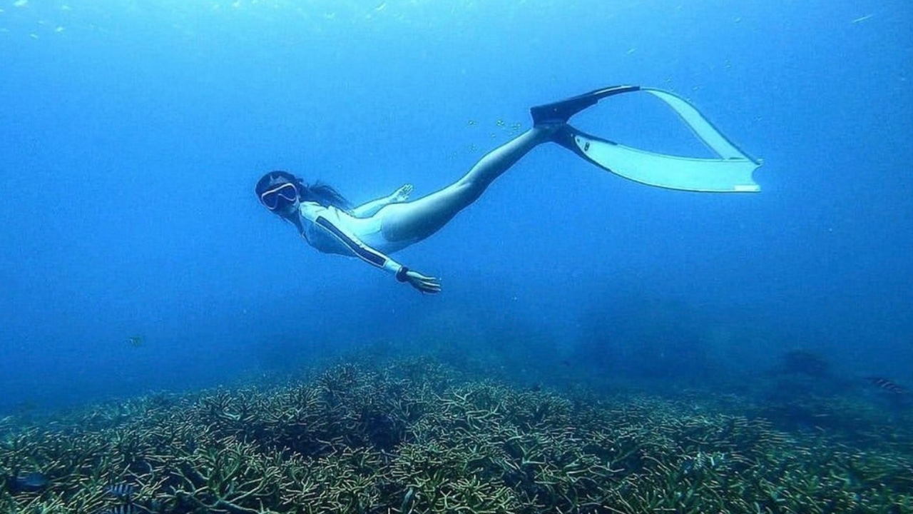 แห่ซูมภาพ วิกกี้ ภรรยา เวียร์ ศุกลวัฒน์ ดำน้ำโชว์ท่ายาก 