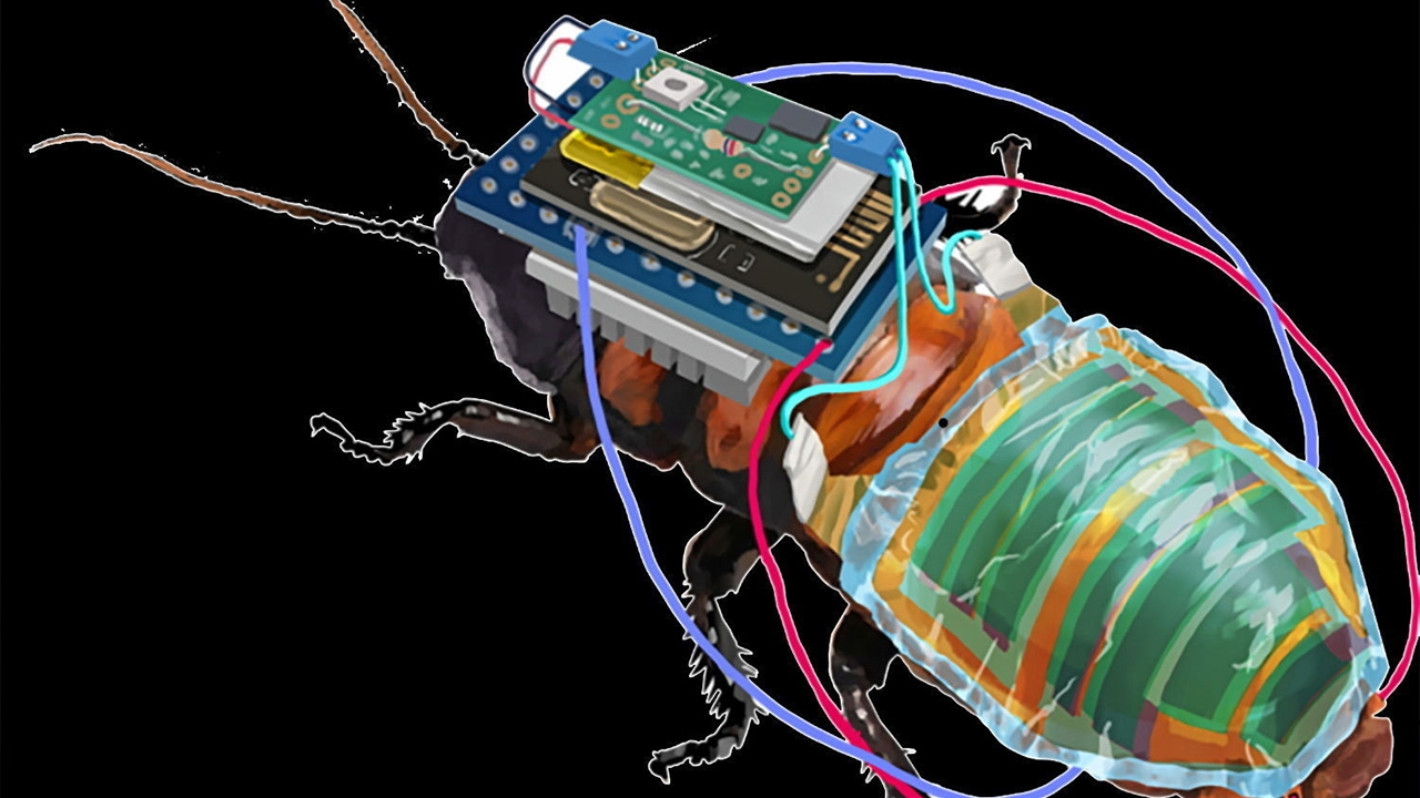 ออกแบบแมลงสาบไซบอร์กแบบชาร์จพลังงานเองได้
