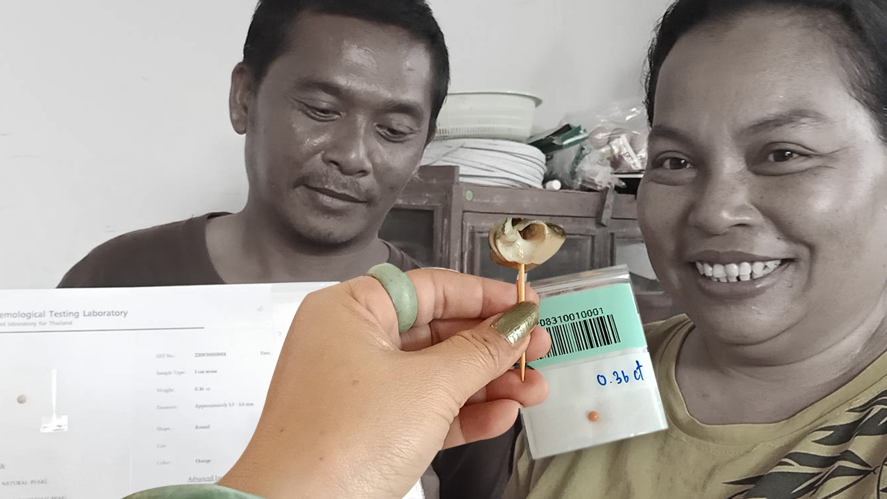 เมโลไม่โมเม "มุก" ของแท้ดูยังไง ฮือฮา เจอในหอยเชอรี่บึงโขงหลง 