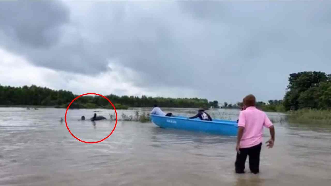 ซึ้งน้ำตาไหล นาทีช่วย ช้าง "พังชื่นใจ" และควาญ ถูกกระแสน้ำพัด จมมิดตัว