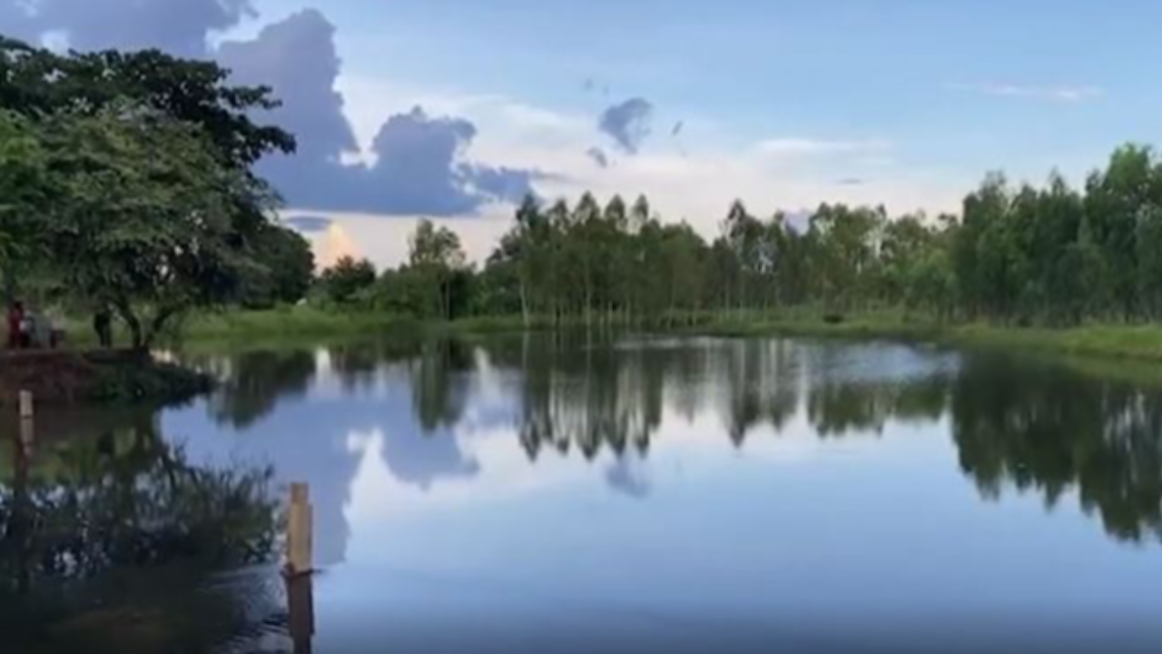 สุดเศร้า "เด็ก 4 คน" เล่นน้ำจมฝายหมู่บ้าน ต่อหน้าเพื่อน เป็นศพทั้งหมด