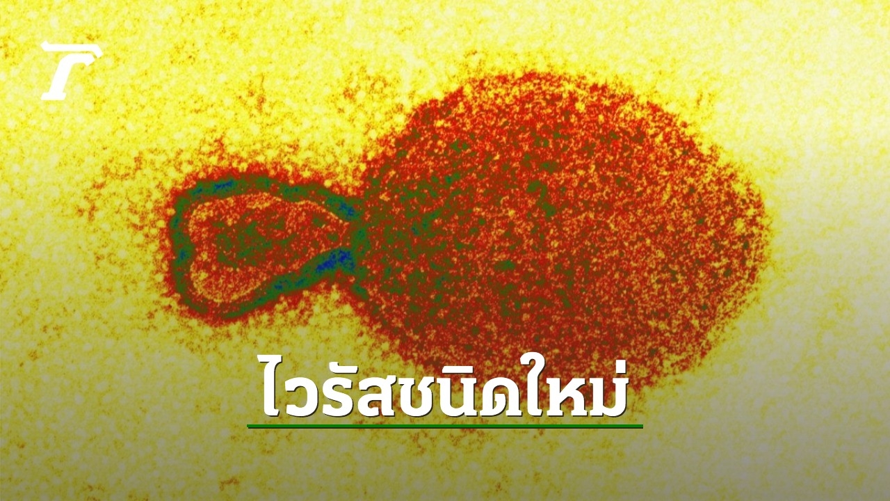 Вирус в москве август 2024 симптомы. Вирус в москве август 2024 симптомы. Вирус в москве август 2024 симптомы. Коронавирус меры профилактики. Вирус в москве август 2024 симптомы.