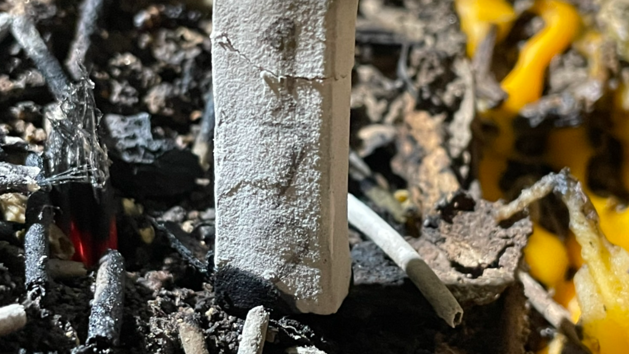 ชาวบ้านขอ "เลขเด็ด" ต้นข่อยโบราณอายุกว่า 300 ปี หลังดวงปังรับโชคนับแสน