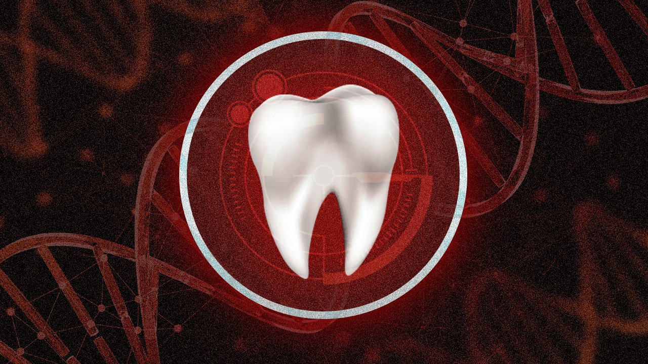 หาความจริงจาก "ฟัน" คนตาย ด้วยวิธี "นิติทันตวิทยา" หลักฐานที่ทนทานที่สุด