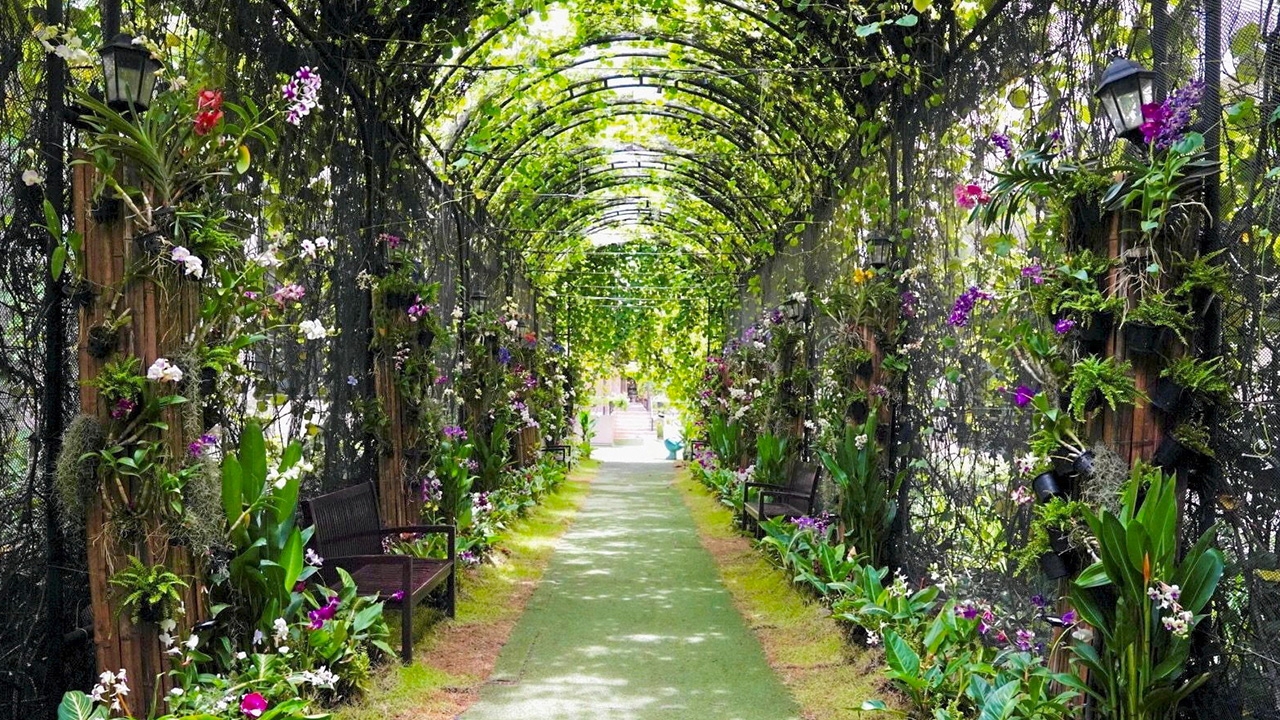 ส่งต่อความรักเพื่อคนพิเศษในงาน “ALLY&FRIENDS Unconditional Love”