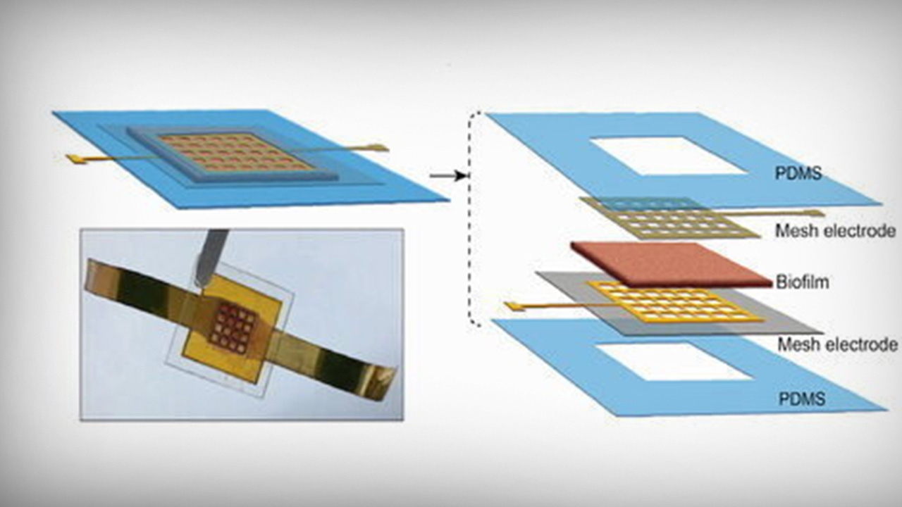 ทีมวิจัยคิดค้นผลิตกระแสไฟฟ้า อย่างต่อเนื่องจากเหงื่อ