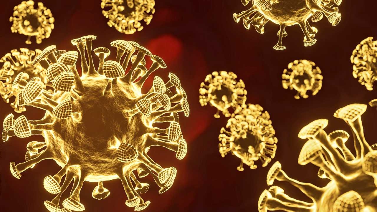 ผู้ป่วยปอดอักเสบยังสูง โควิดวันนี้ 14 ส.ค. ติดเชื้อต่ำกว่า 2 พัน ดับ 30 ศพ