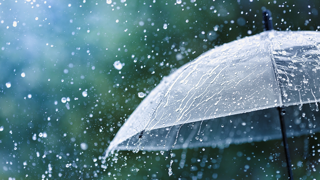 น้ำฝนปนเปื้อน