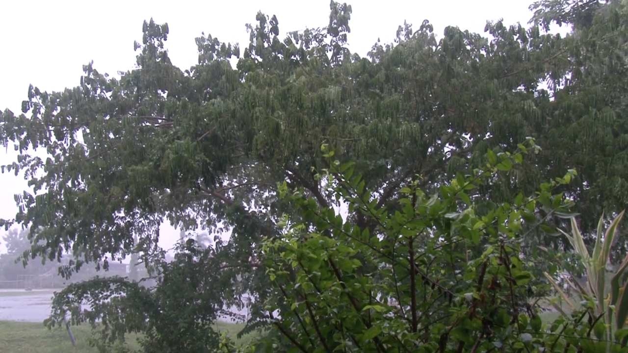 กาฬสินธุ์ ฝนลงตามนัด น้ำไหลลงเขื่อนลำปาวแล้ว 22 ล้าน ลบ.ม. ยังรับได้อีก