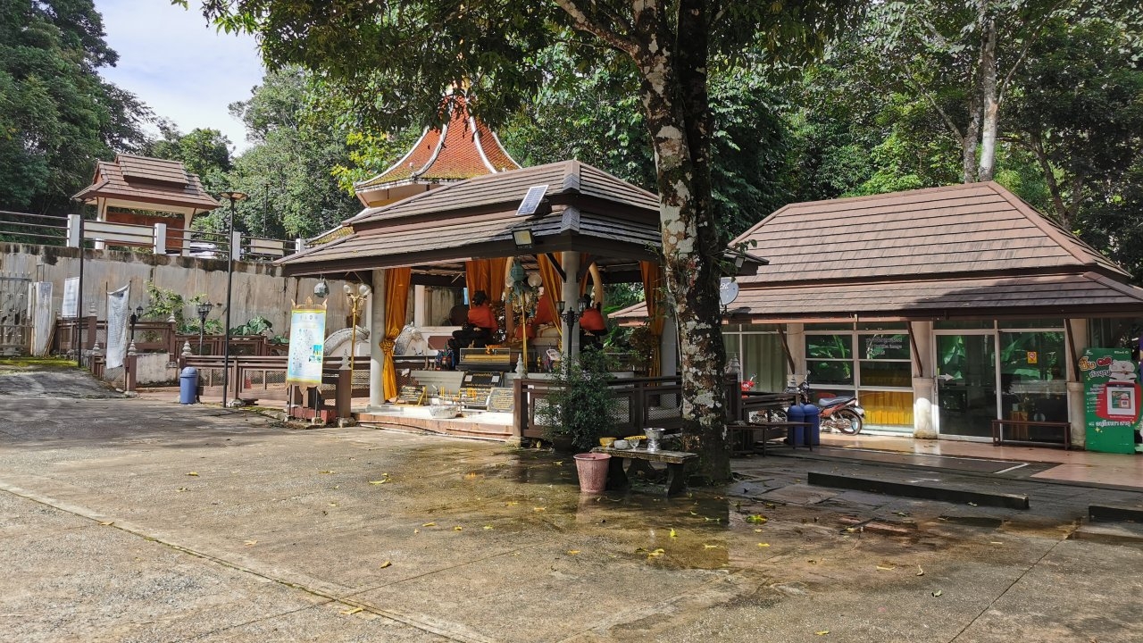 คนสงสัยต้นมะม่วงที่พระธาตุดอยตุง มีหยดน้ำโปรยใต้ต้น ดั่งพระพรมน้ำมนต์ 