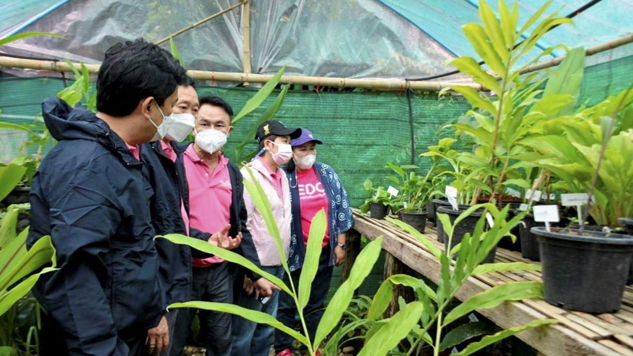 ชุมชนต้นแบบ ธ.ความหลากหลาย อนุรักษ์ สร้างรายได้ เพิ่มคุณภาพชีวิต