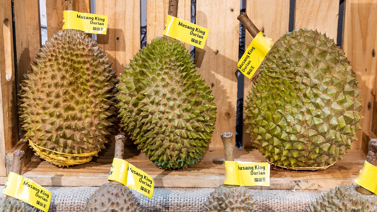 ทางรอดทุเรียนไทย ตลาดจีนแข่งเดือด ระวังหมอนทองเวียดนาม ถูกกว่าหลายเท่า