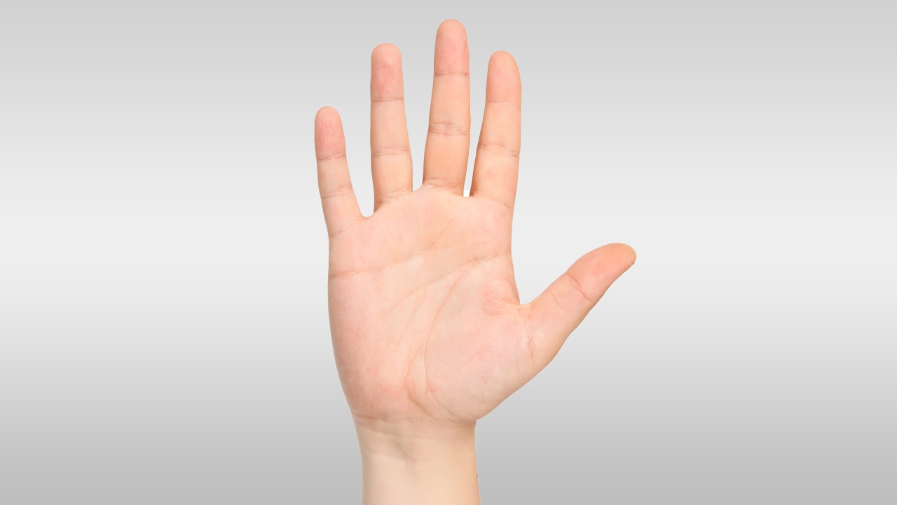 "หมอลักษณ์" ฉะโหรยุคใหม่ อุตริ สักลายมือเสริมดวง ชี้นานเข้าจะกลายเป็นอัปมงคล