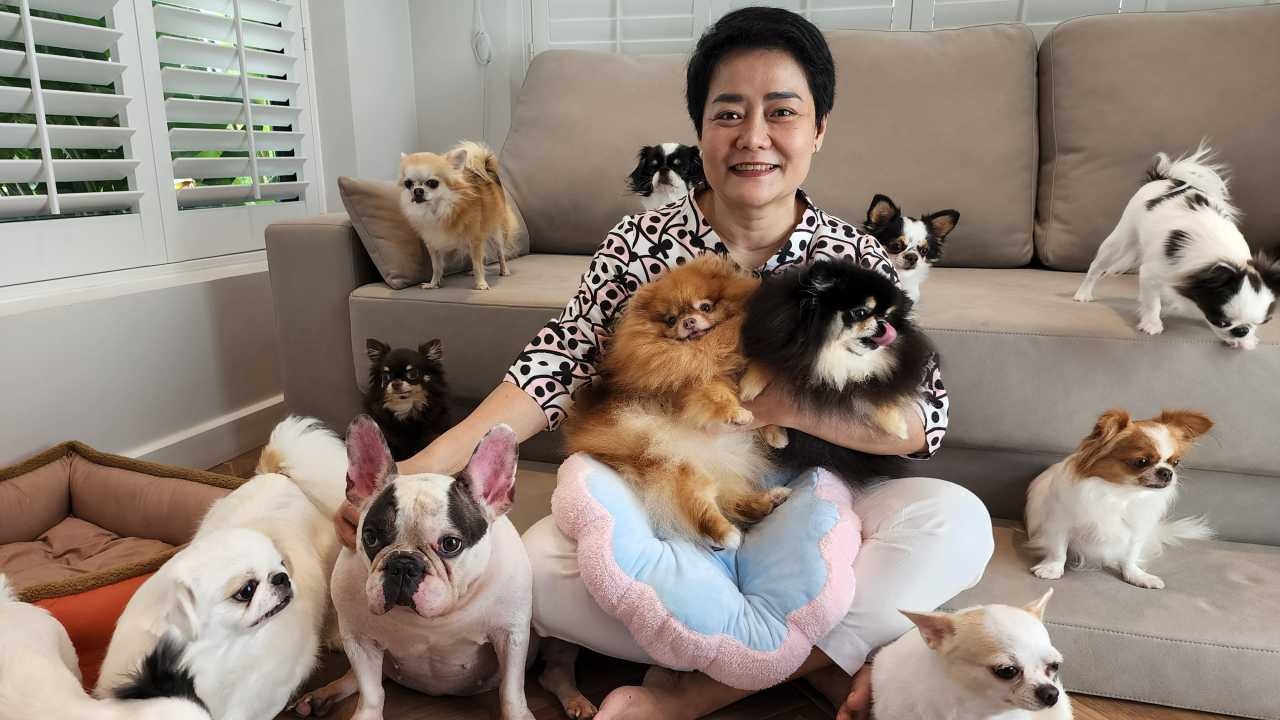 เพื่อเพื่อนที่ซื่อสัตย์ สาวราชบุรีสร้างบ้านหรู ทำพินัยกรรมให้สุนัข 17 ตัว