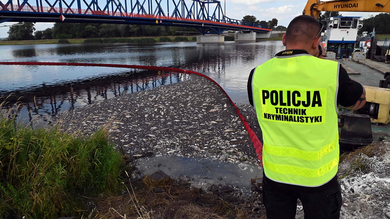 ปริศนาปลาตายมหาศาล