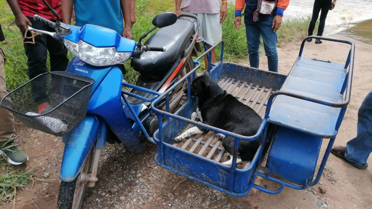 สลด หนุ่มพิการช่วยน้องหมารอดจมน้ำ ตัวเองพลัดตกฝายตายแทน