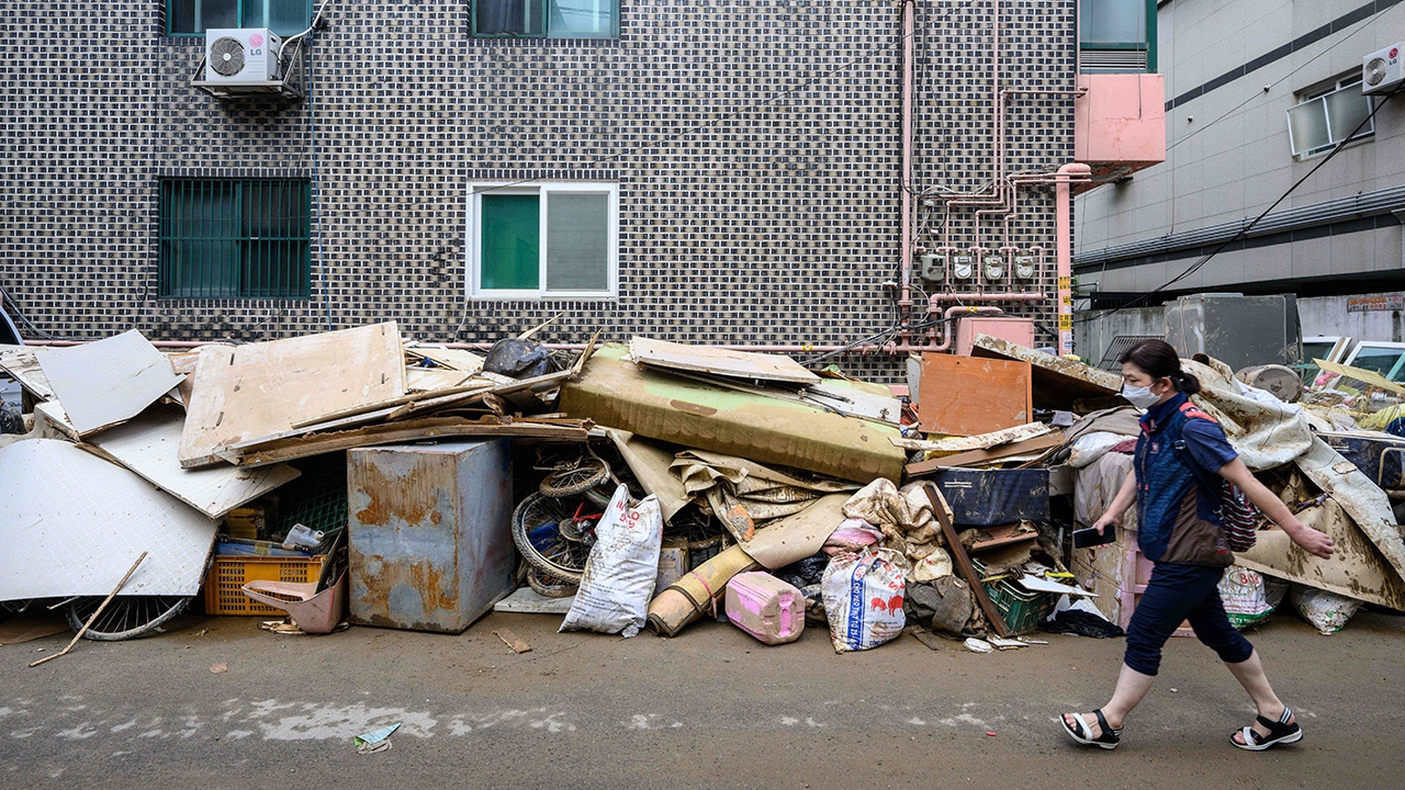 เกาหลีแบนแฟลตพาราไซต์