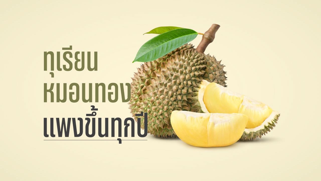 ทุเรียนหมอนทองโดดเด่นเรื่องรสชาติ ทำไมคนไทย ต้องจ่ายแพงขึ้นทุกปี