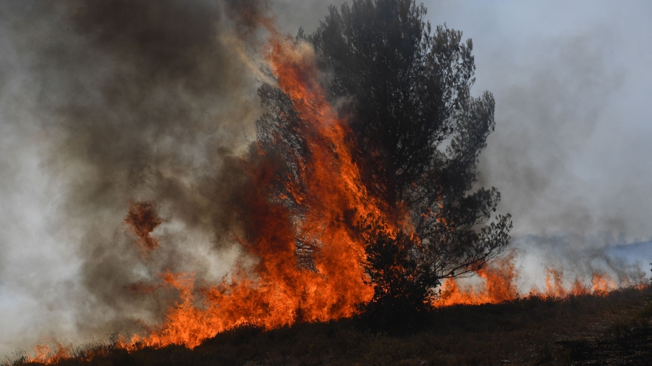 ยุโรปอ่วม หลายประเทศเผชิญไฟป่ารุนแรง ท่ามกลางสถานการณ์คลื่นความร้อน