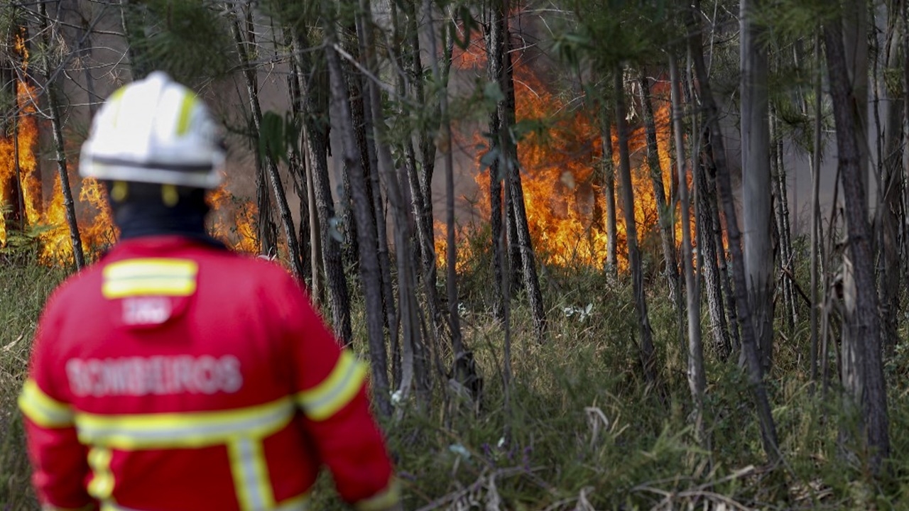 ยุโรปอ่วมคลื่นความร้อน เกิดไฟป่าหลายประเทศ คนนับหมื่นต้องอพยพ